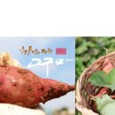 안면도농산 이미지