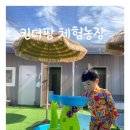 화봉농장 | 공주 킨더팜 체험농장 내돈내산 후기