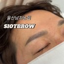 알로하브로우