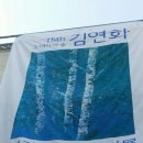 자작나무이야기 이미지