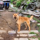 관호농장 이미지