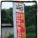 단감농원식당 - 칠곡군 | 단감농원식당