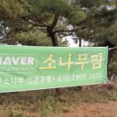 사구농장 이미지