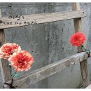 종이접기 & 한지 꽃 공예 이미지