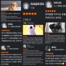 당진낙협동물병원 | 기흥동물병원, 여러 군데 다녀봐도 정착하지 못한 분들이 놓친 기준 1가지