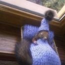 스타트포인트 이미지