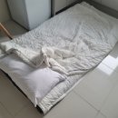 달몽펜션 이미지