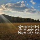 행복하자 Daum카페