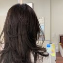 주식회사 하이이미지(HIGH IMAGE) | [청주 송절동 미용실]⁠ 디어룸헤어 도은 실장의 하이 레이어드컷, 올여름 가장 힙하고 가벼운 변신