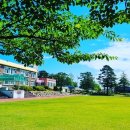 오호초등학교 이미지