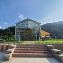 4월의밀밭 이미지