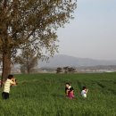 서호목장 이미지