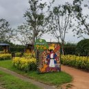 골약초교 이미지