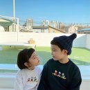 형제오리 이미지