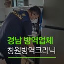 [경남방역업체] 아이 키우는 집 바퀴벌레, 셀프 약으로 안 된다면? 창원방역크리닉 실제 퇴치 후기!