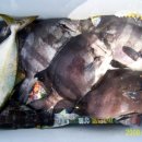 복사초등학교2 이미지