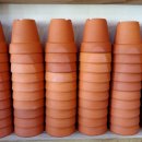 월평4호 이미지