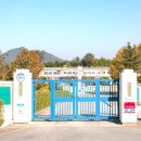 대신초교병설유치원 이미지