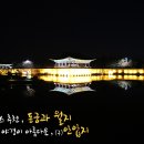 동궁속 이미지