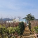 하늘아래농원