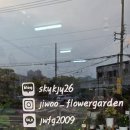 지우플라워가든 이미지
