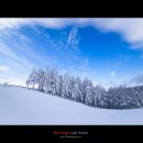 풍전목장 이미지