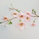 실로그리다