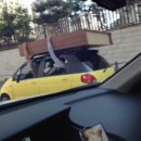 646미터퍼세크 이미지