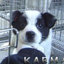 신내동-019 이미지