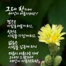 은빛2단지경로당 이미지