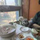 뉴욕종합동물병원 이미지