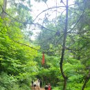 우면산7-2-2 이미지