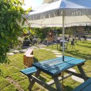 봉평메밀숲 이미지