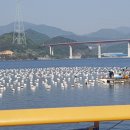 마창대교 옆 이미지