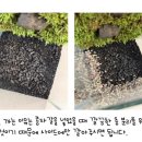 그린가드닝