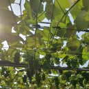 한송농장 이미지