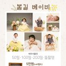 봄길사진관 | 아라미 육아일기 / 대전 봄길사진관에서 플라워테이블 & 캠핑컨셉 촬영하고왔어요!
