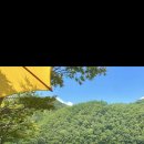 아홉사리로 이미지