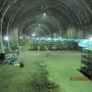 경부농장 이미지