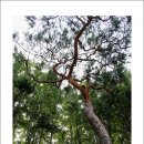 노송농원 이미지