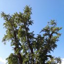 노당1리 이미지