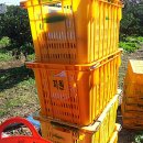 재이농장 이미지