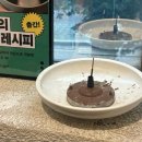 조광 | 조광201 후기