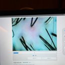 그리니다