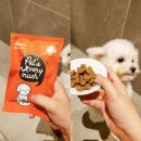 페츠베리머치 카페 이미지