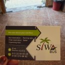 사하라관광호텔 | 시와 사하라사막 사파리투어 추천 듄베이싱 바베큐 별보기 Siwa bus tour