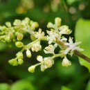 노고단-5 이미지