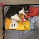 (주)리즈네트워크 이미지