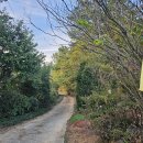 신기마을버스 정류장 이미지