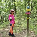 고개너머 동향길 이미지